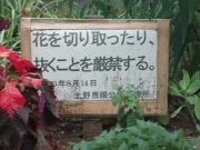 花の切り取り厳禁 [画像]